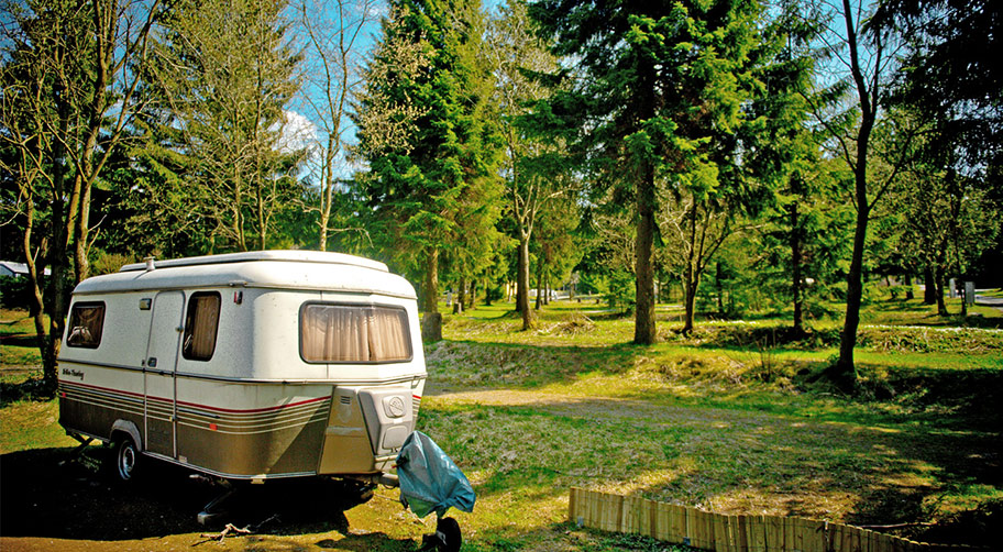 Wohnwagen auf einem idyllischen Stellplatz beim Camping Harz im Sommer