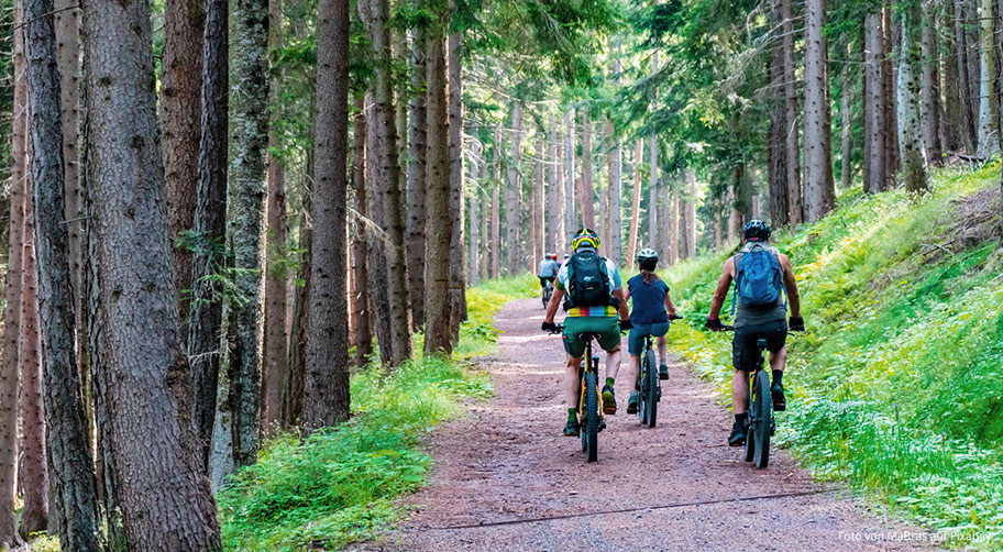 Im Harz gibt es tolle Strecken für Mountainbiker und Radfahrer