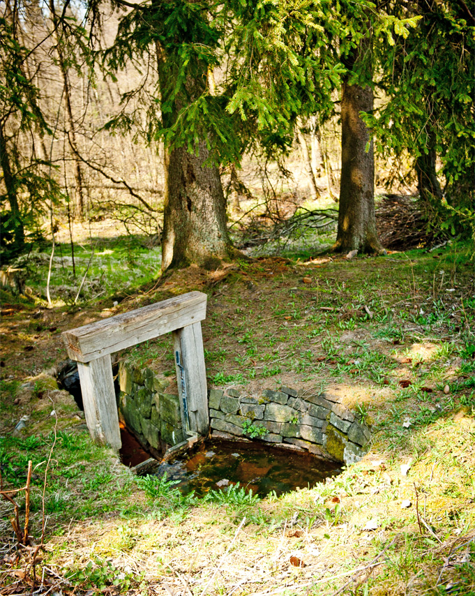 Unterer Auslass vom Pixhaier Teich