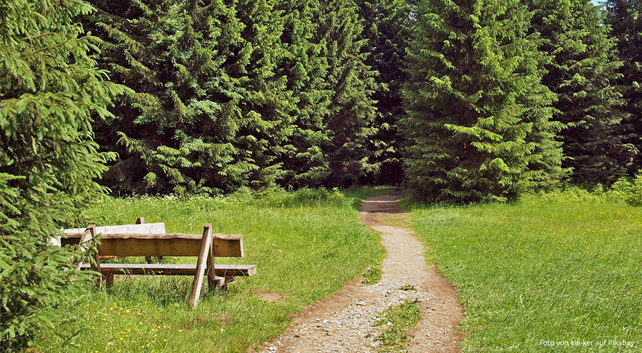 Der Harz bietet viele schöne Wanderwege und Wandertouren